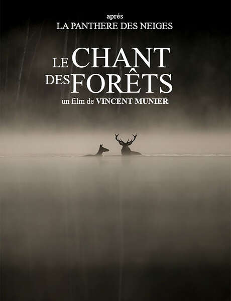 Cinéma à La Margelle : Le chant des forêts