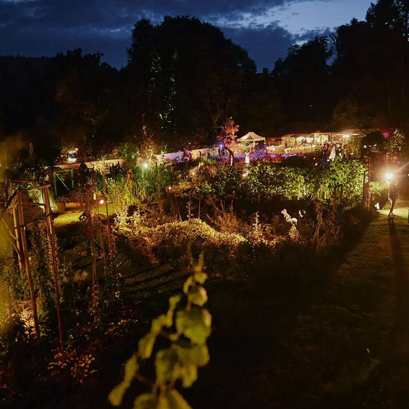 Sortie Famille : féeries nocturnes au parc de Wesserling